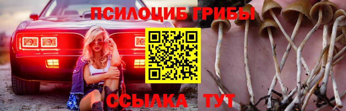 Псилоцибиновые грибы мицелий Кострома